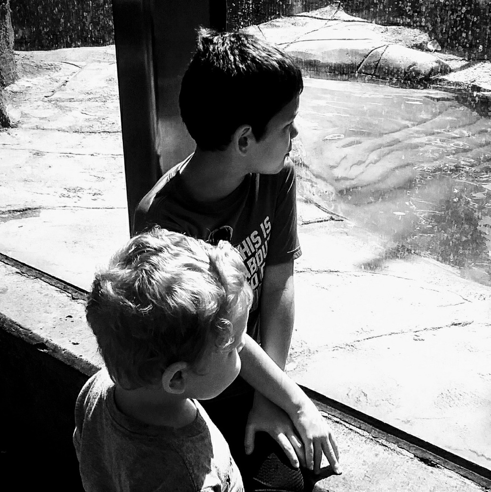 Meet your Posher, Kassie